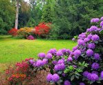 Arboretum_Kórnik