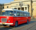 Ogórek_Warszawa_3