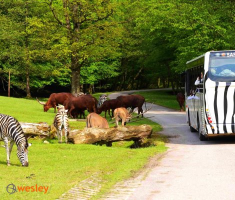 Zoo_Dvur_Kralove2