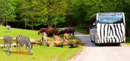 Zoo_Dvur_Kralove2