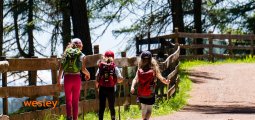 Nordic-Walking2