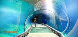 wroclaw_afrykarium1