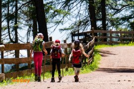 Nordic-Walking2