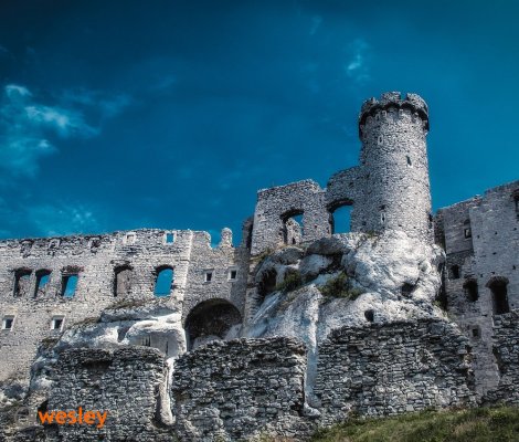 Ogrodzieniec1