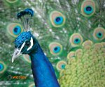 Zoo_Opole3