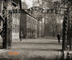 Auschwitz1