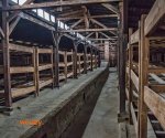 Auschwitz5