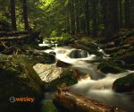 Dolina_Bilej_Opavy6