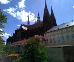 Praga8