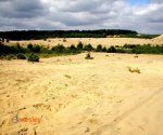 pustynia_Siedlecka2