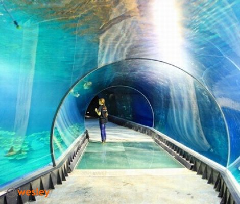 wroclaw_afrykarium1