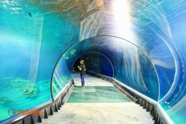 wroclaw_afrykarium1