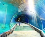 wroclaw_afrykarium1