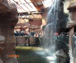 Afrykarium3