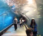 wroclaw_afrykarium2