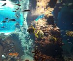wroclaw_afrykarium3