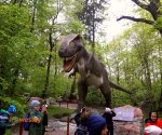 Zatorland5