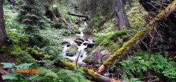 Dolina_Bilej_Opavy4