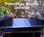 Osowka