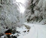 Kulig_Wisła_1 (3)