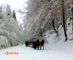 Kulig_Wisła_1 (2)