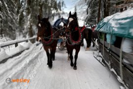 Kulig_Wisła_2023