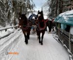 Kulig_Wisła_2023