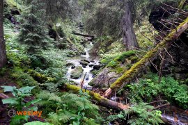 Dolina_Bilej_Opavy4