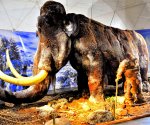 Centrum-Neandertalczyka