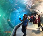 Afrykarium1