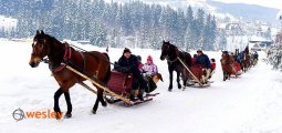 kulig_Dol_Chocholowska-6