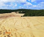 Pustynia_Siedlecka_2