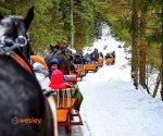 kulig_Dol_Chocholowska-2