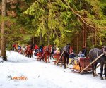 kulig_Dol_Chocholowska-3