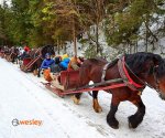 kulig_Dol_Chocholowska-1