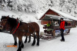 kulig_Wisla_3