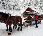 kulig_Wisla_3