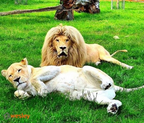 Zoo_Borysew_3