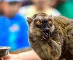Zoo_Borysew_7