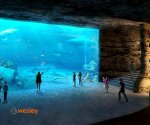 Orientarium_2