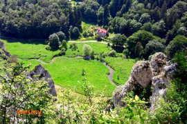 Ojcowski_Park_Narodowy_3