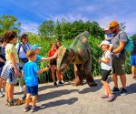 Park_Ewolucji_Sławotówko_1