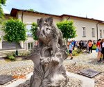 Kielce_pomnik_dzika