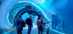 Orientarium_5