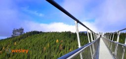 Sky_Bridge_8