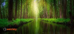 Spreewald_1
