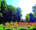 Ogrody_Kapias_3