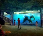 Orientarium_3