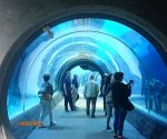Orientarium_4