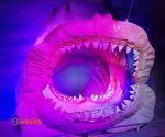 Orientarium_5